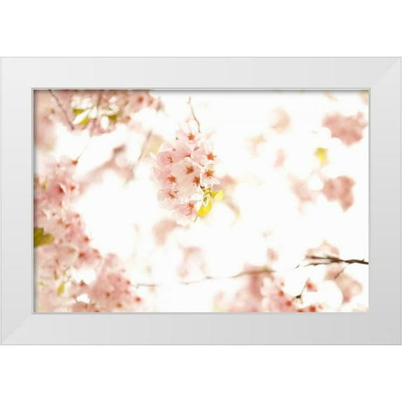 Millet, Karyn 24x17 White Modern Wood Framed Museum Art Print Titled - In Bloom XVII