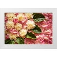 thumbnail image 1 of Millet, Karyn 24x17 White Modern Wood Framed Museum Art Print Titled - Pink Petals I, 1 of 4