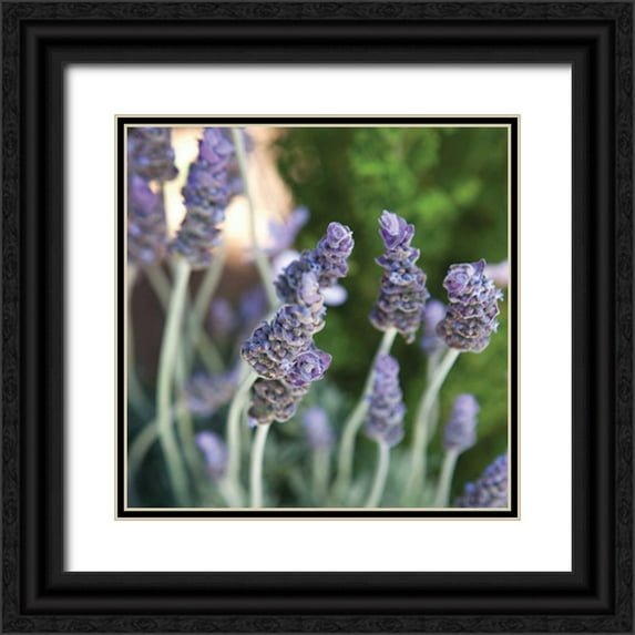 Millet, Karyn 26x26 Black Ornate Wood Framed with Double Matting Museum Art Print Titled - Lavender II