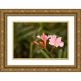 thumbnail image 1 of Millet, Karyn 32x23 Gold Ornate Wood Framed with Double Matting Museum Art Print Titled - Buds of Pink, 1 of 4