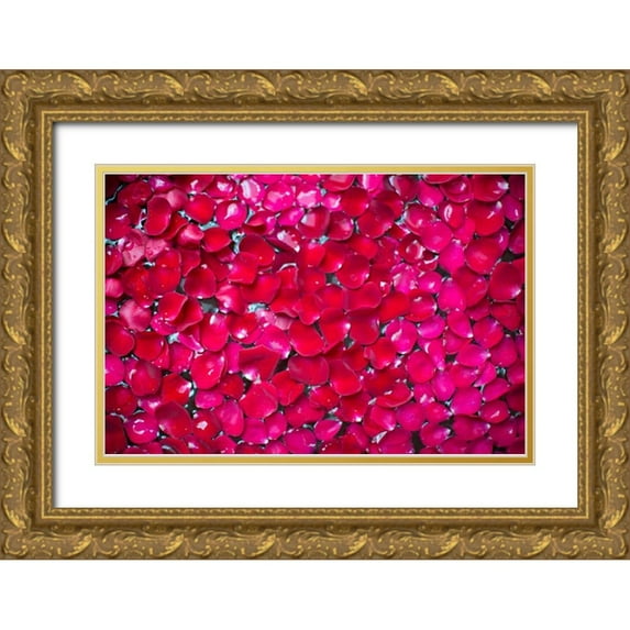 Millet, Karyn 32x23 Gold Ornate Wood Framed with Double Matting Museum Art Print Titled - Pink Petals II