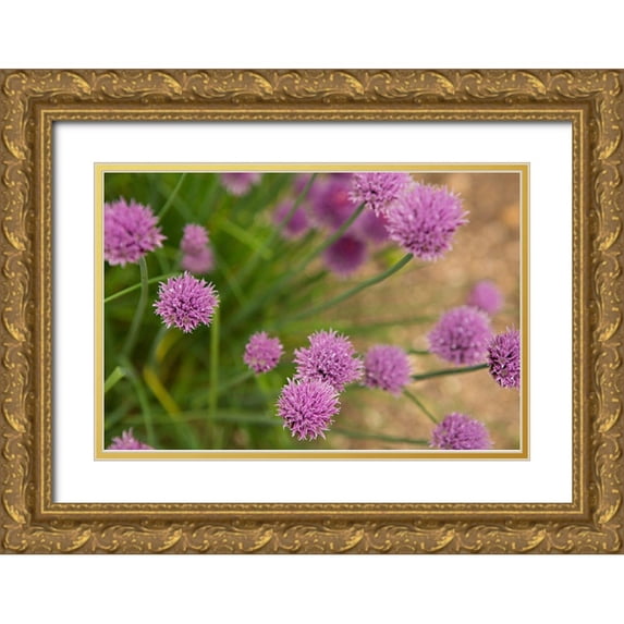 Millet, Karyn 32x23 Gold Ornate Wood Framed with Double Matting Museum Art Print Titled - Purple Flower Ball I
