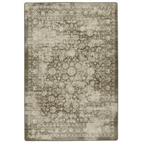 Milliken Drayton Area Rug 4000174084 Camak Shaded Blossoms Rings 5' 4" x 7' 8" Rectangle