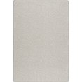 thumbnail image 1 of Milliken Imagine Figurative Area Rug WILD JOURNEY SNOW LEOPARD Wild Journey Snow 7' 8" x 10' 9" Rectangle, 1 of 2