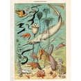 thumbnail image 1 of Millot Encyclopedia Page Ocean Fish Shark Extra Large XL Wall Art Poster Print, 1 of 3