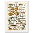 thumbnail image 1 of Millot Encyclopedia vintage Fish Shark Ray Nature Artwork Framed Wall Art Print A4, 1 of 4