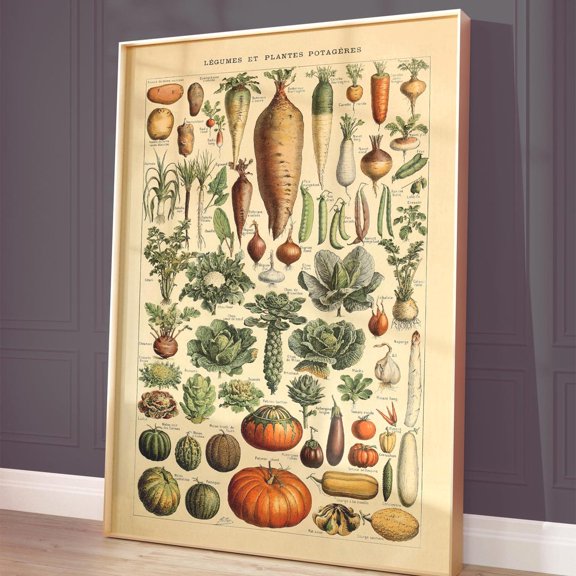 Millot Vegetable Poster
