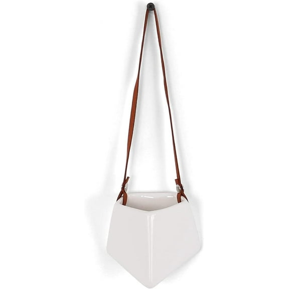 Milltown Merchants Succulent Wall Planters - Geometric Wall Vases (Small / 2 Pack)