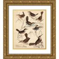 thumbnail image 1 of Milne 15x17 Gold Ornate Wood Framed with Double Matting Museum Art Print Titled - Avian Habitat VI, 1 of 4