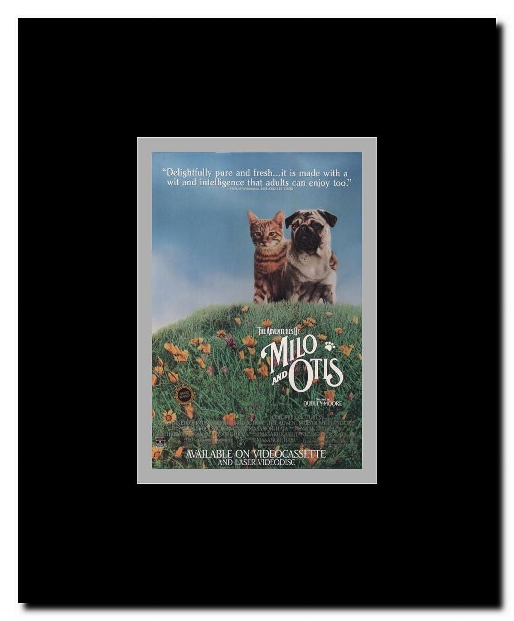Milo and Otis Framed Movie Poster