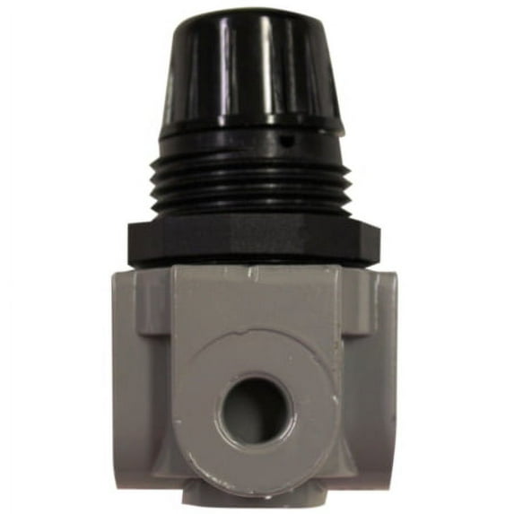 Milton 1/4" NPT Mini Heavy Duty Regulator