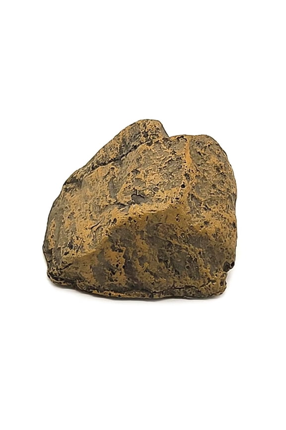 Camouflaged Rock Storage Box Key Holder Hiding Spare Keys and OtherEssentials