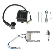 Milue Engine CDI Ignition Coil Magneto for Motorized 49cc 66cc 80cc Engine Bicycle