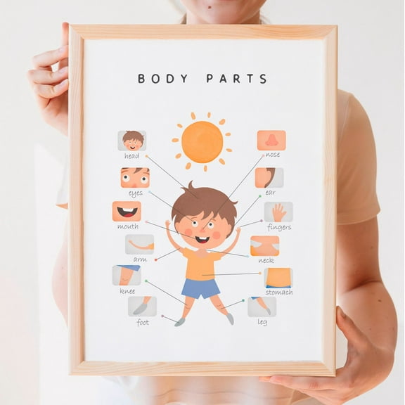 Miluva Body Parts Poster, Educational Posters, Montessori Materials, Nursery Wall Art, Teaching Resource, Classroom Decor, Decor For Living Room Bedroom, 8x12 UNFRAMED