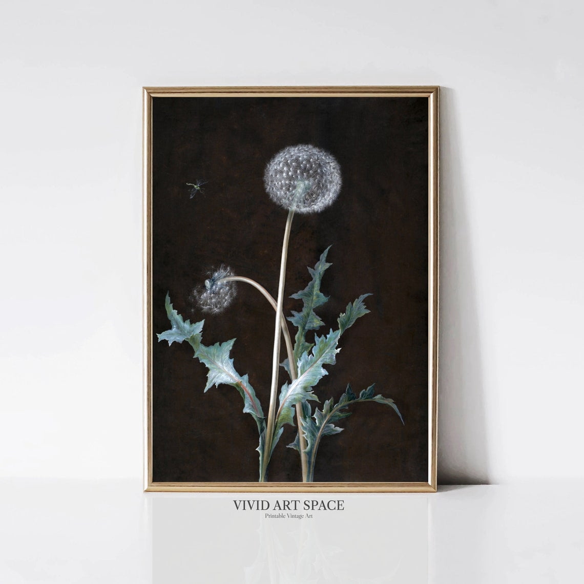 Miluva Dandelion Dark Botanical Print Dark Academia Decor Vintage Art ...