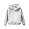 thumbnail image 1 of Miluxas Kids Solid Pullover Hoodie for Girls Boys, Hood Sweatshirt with Front Kangaroo Pocket, Soft Long Sleeve Basic Top Gray 3-4 Years, 1 of 6