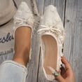thumbnail image 1 of Miluxas Women's Ballet Lace Mesh Mary Jane Flats, Floral Applique Wedding Shoes with Elastic Strap and Low Heel for Spring Summer Party Beige 7(39), 1 of 7
