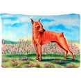 thumbnail image 1 of Min Pin Moisture Wicking Fabric Standard Pillowcase, 1 of 1