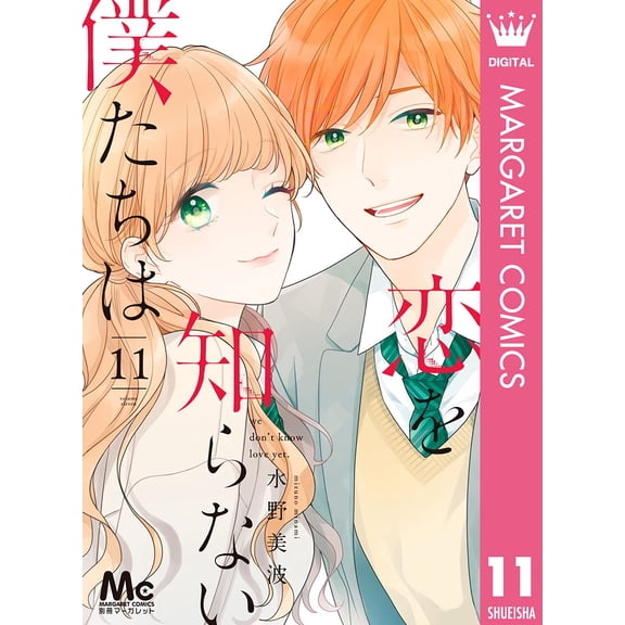 Minami Mizuno We Don`t Know Love 11 (Paperback)
