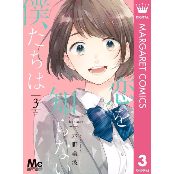 Minami Mizuno We Don`t Know Love 3 (Paperback)
