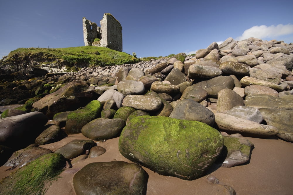 Minard Castle And Rocky Beach Minard County Kerry Ireland Canvas Art - Trish Punch Design Pics (19 x 12)