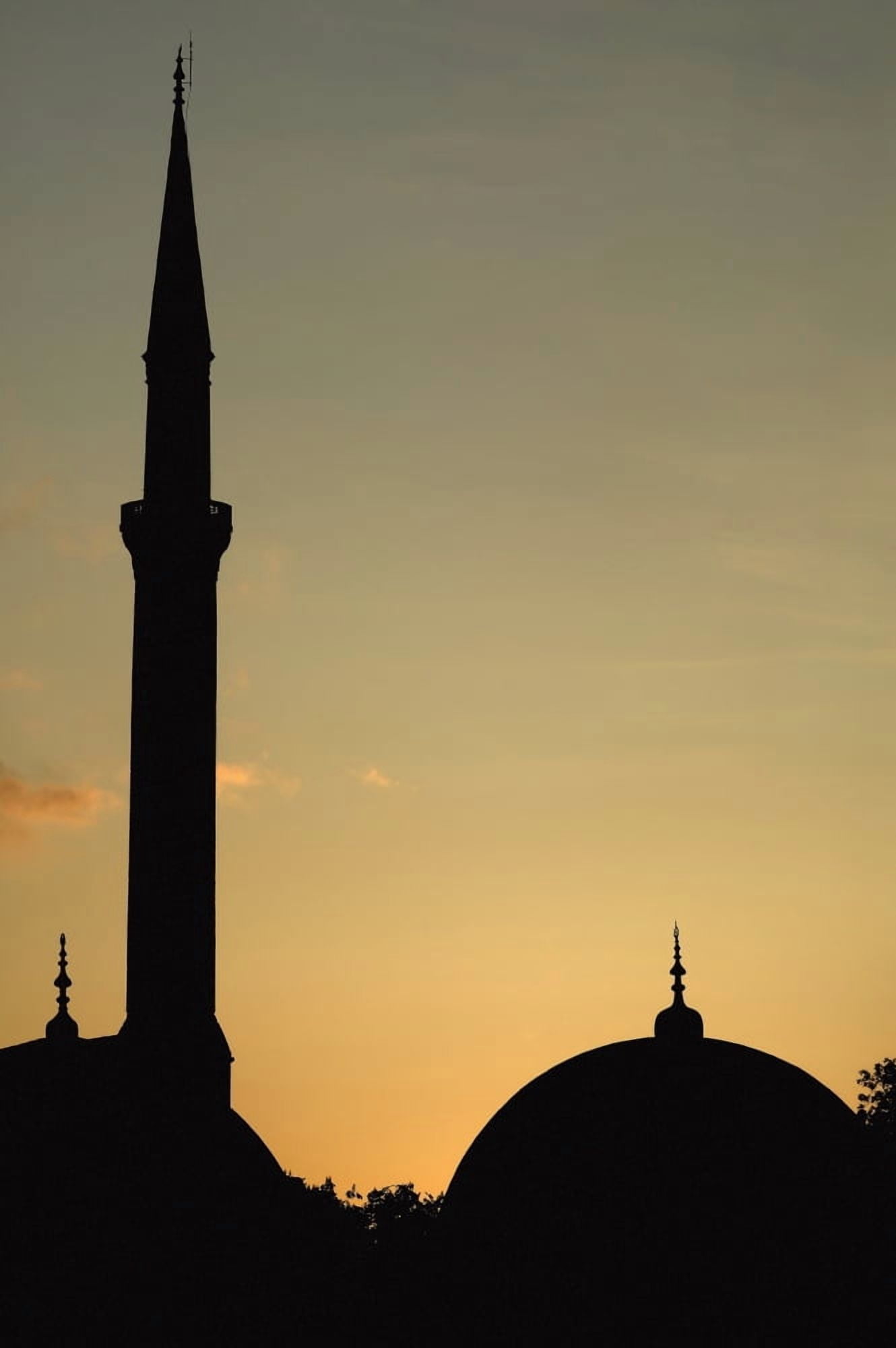 Minaret And Dome Of The Blue Mosque At Dusk Canvas Art - Doug McKinlay Design Pics (12 x 19)