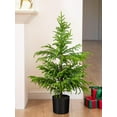 thumbnail image 1 of Minbee 23.6" Norfolk Pine Tree Real Touch Artificial Small Christmas Tree with Pot for Front Porch for Outdoor Indoor Christmas Decor Holiday Decorations with Basin 2PCS, 1 of 12