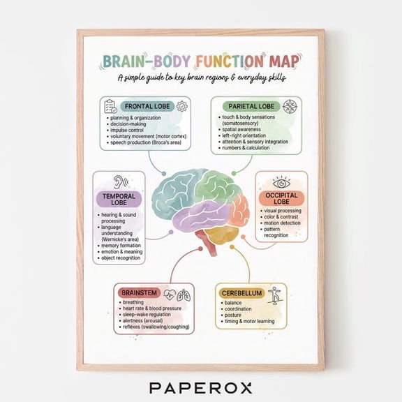 Mind-Body Brain Map Poster, Brain Anatomy Print, Neuroscience Wall Art, CBT EMDR Therapy Decor, School Counselor Office,Psychology Classroom, Unframed Paper Poster 8x10in