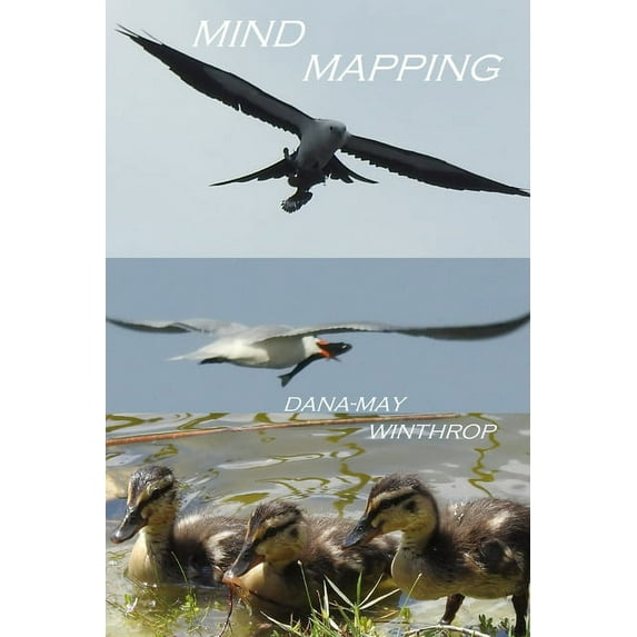 Mind Mapping (Paperback)