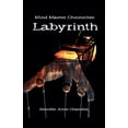 thumbnail image 1 of Mind Master Chronicles Mind Master Chronicles: Labyrinth, Book 1, (Paperback), 1 of 1