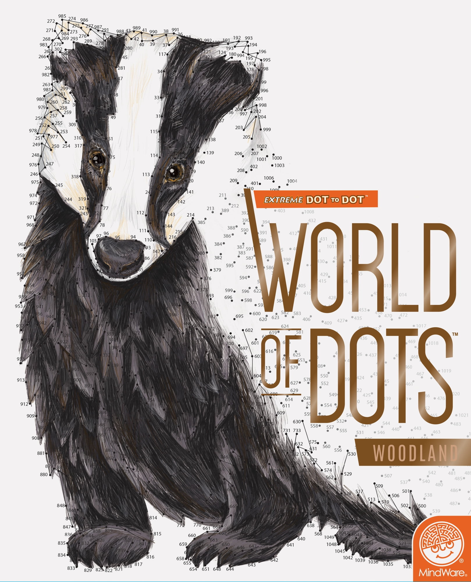 MindWare Extreme Dot to Dot: World of Dots Woodland - Ages 8+ - Walmart.com