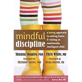 Pre-Owned Mindful Discipline: A Loving Approach to Setting Limits and Raising an Emotionally Intelligent Child (Paperback) 1608828840 9781608828845