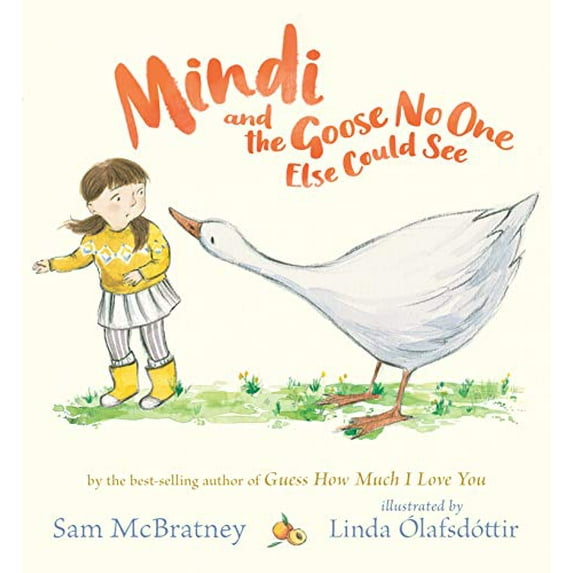 Pre-Owned Mindi and the Goose No One Else Could See (Hardcover) by Sam McBratney