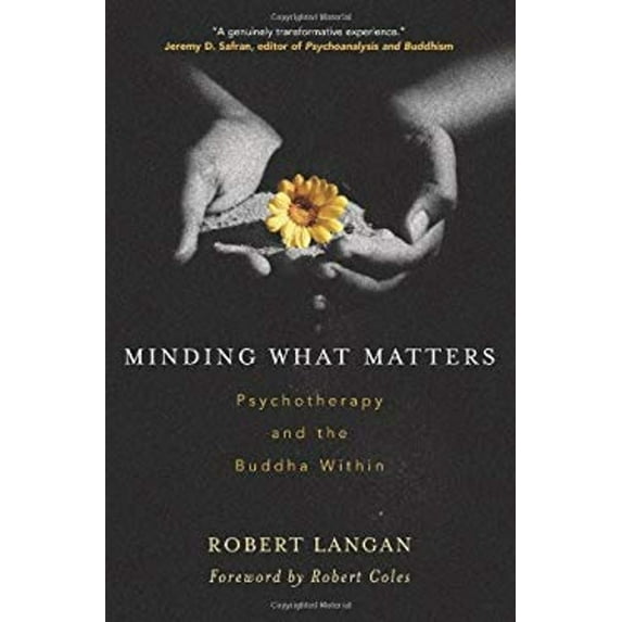 Pre-Owned Minding What Matters: Psychotherapy and the Buddha Within (Paperback) 0861713532 9780861713530