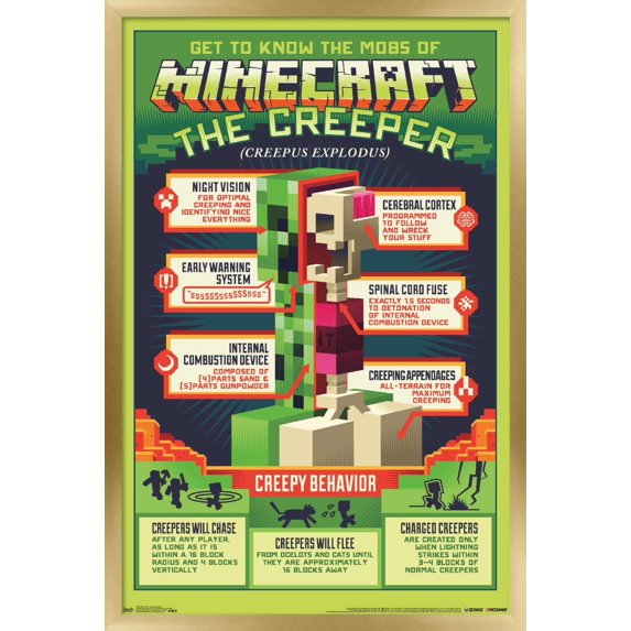 Minecraft - Creeper Anatomy Wall Poster, 22.375" x 34", Framed