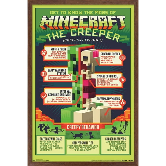 Minecraft - Creeper Anatomy Wall Poster, 22.375" x 34", Framed