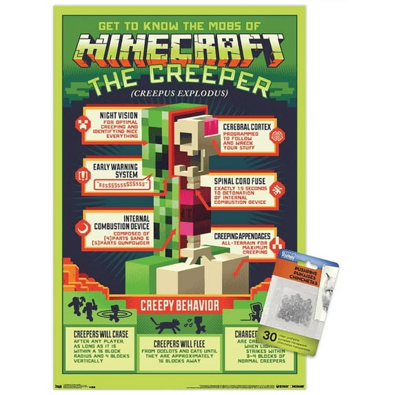 Minecraft - Creeper Anatomy Wall Poster with Push Pins, 14.725" x 22.375"