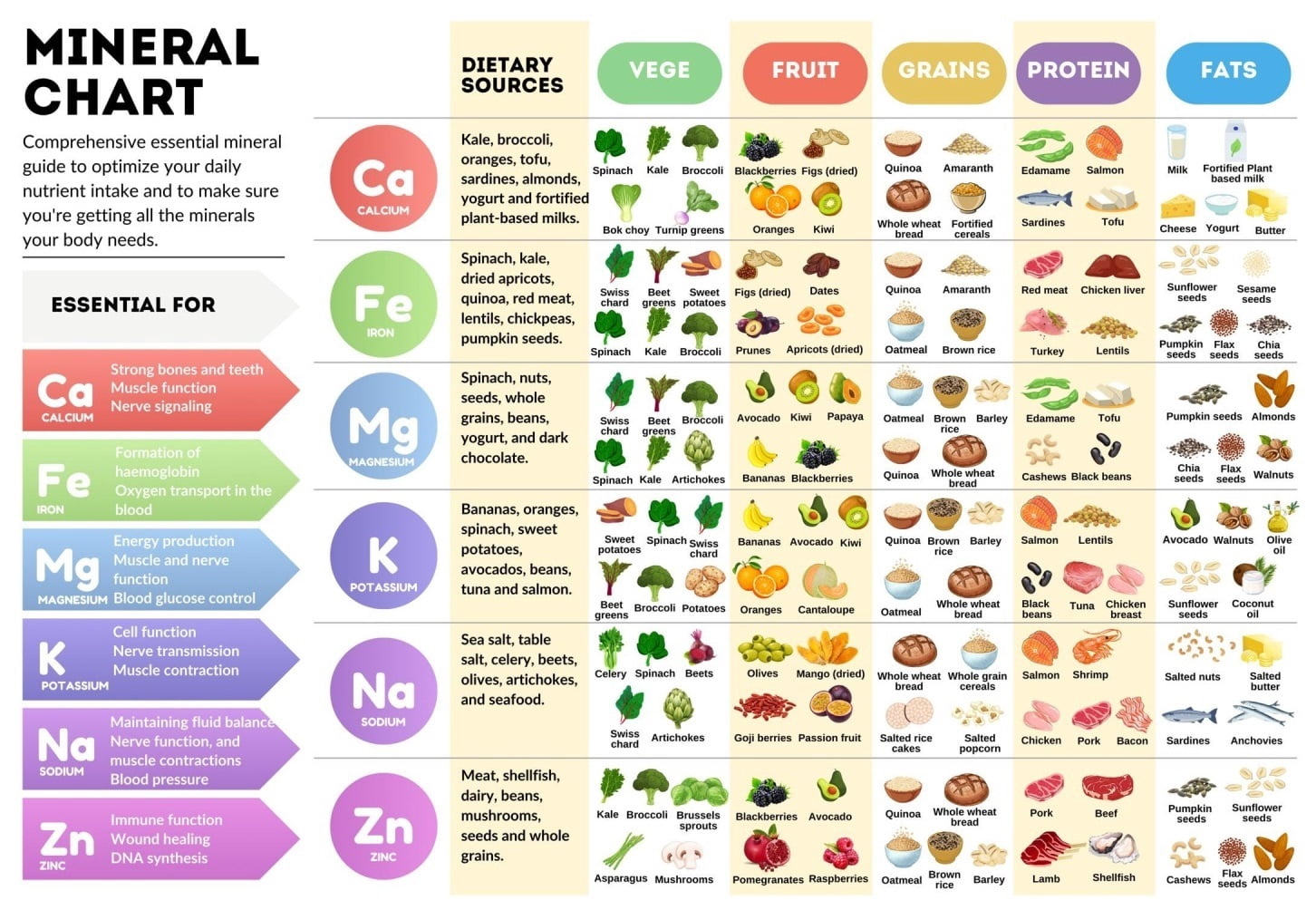 Mineral Chart Health Poster Food Essential Nutrients Chart Nutrients ...