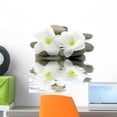 thumbnail image 1 of Mineral Water Zen White Wall Mural by Wallmonkeys Peel and Stick Graphic (18 in H x 18 in W) WM223293, 1 of 4