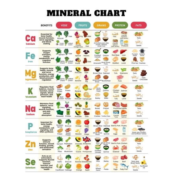 Mineral chart memo sheet, supplementary reference chart poster, reference guide, and nutritionist worksheet poster, to complete the nutritional ingredient food list poster for you