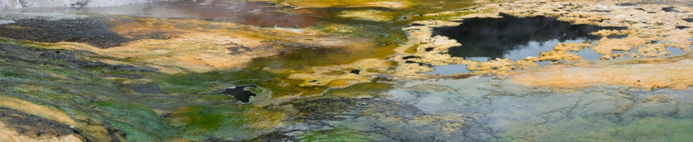 Mineral springs at the Emerald Terrace Orakei Korako Thermal Park Lake Ohakuri Waikato River North Island New Zealand Canvas Art - Panoramic Images (8 x 38)