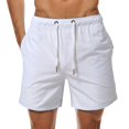 thumbnail image 1 of Mingw Mens Shorts Men's Waterproof Large Shorts Summer Beach Pants, 1 of 5