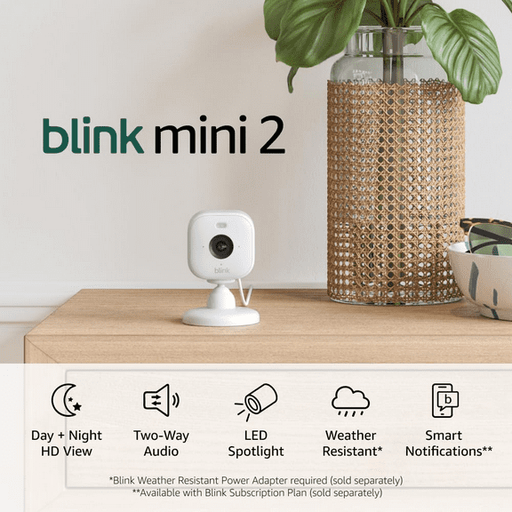 Mini 2 (Newest Model) Home Security & Pet Camera(S) with HD Video, Color Night