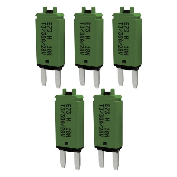 30 Amp Automotive Fuses