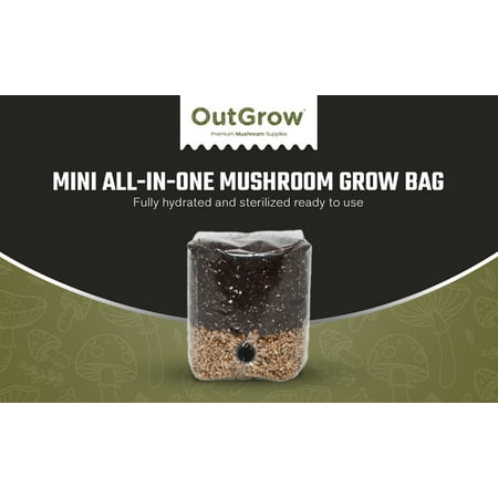 Mini All in One Mushroom Grow Bag | Grow In The Bag | Out Grow