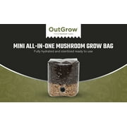 Mini All in One Mushroom Grow Bag | Grow In The Bag | Out Grow
