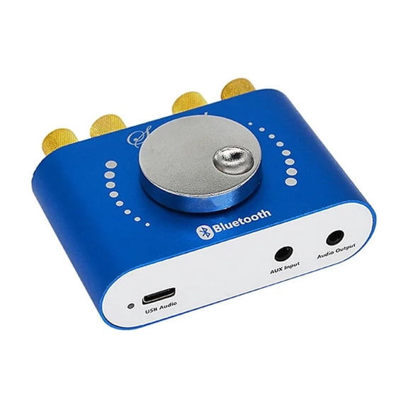 Mini Amplifier Bluetooth 5.0 Digital Power HiFi Stereo USB AMP