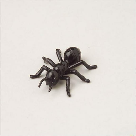 Mini Ants-72-Pc