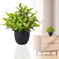 thumbnail image 1 of Mini Artificial Potted Fake Plant with Gothic Black Pot, No‑Watering Tabletop Decor for Bathroom Office Kitchen Shelf, Halloween Fall Indoor Home Ornament, 1 of 9