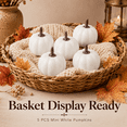 thumbnail image 1 of Mini Artificial Pumpkins 5 Pack, White Foam Pumpkins, Small Fall Table Decorations for Thanksgiving Halloween Mantel Tray Bowl Home Decor, 1.5*1.1in, 1 of 6